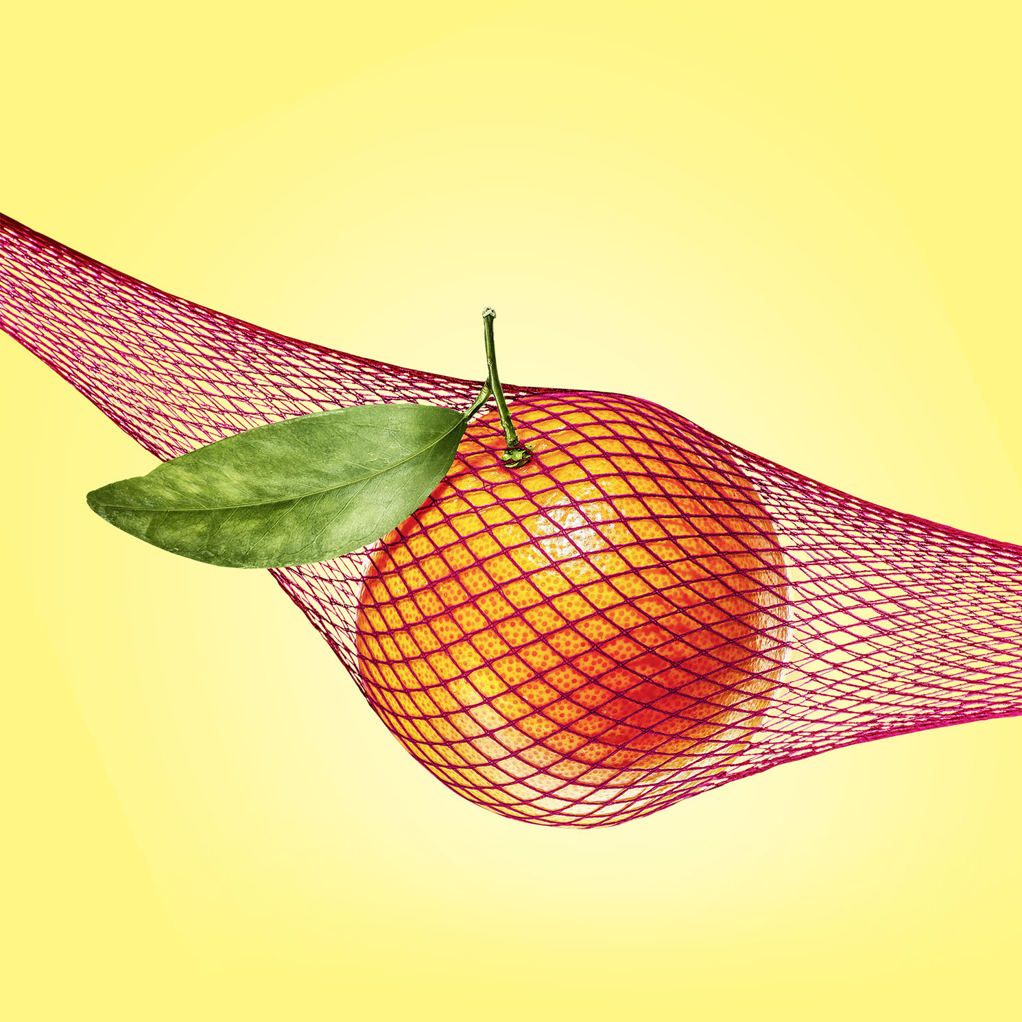 fetish-fruits Orange SQ
